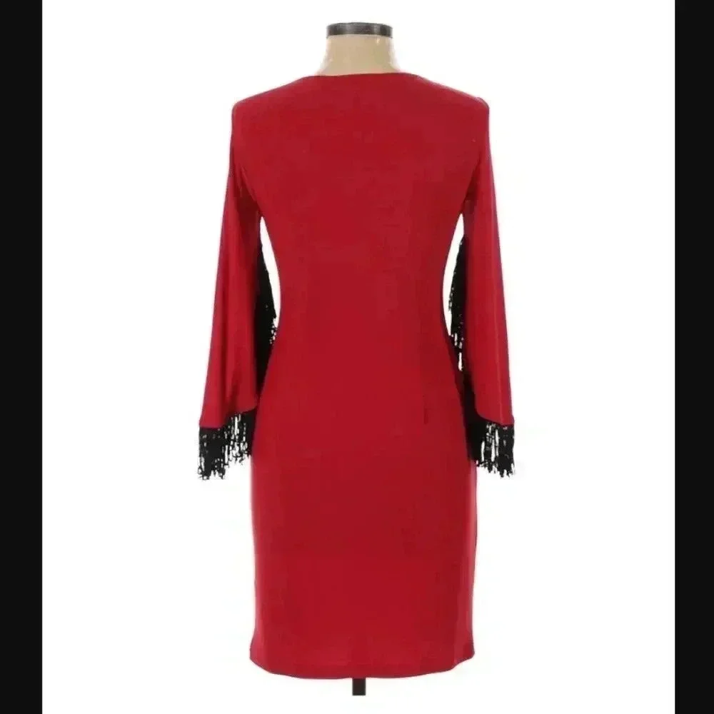 Spense Fringed Sleeve Dress
